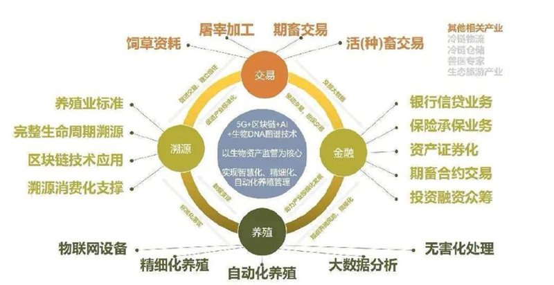 农业技术职业学校:培养未来绿色农业的种子