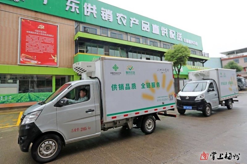 生态农业:构建可持续发展的现代农业新形态